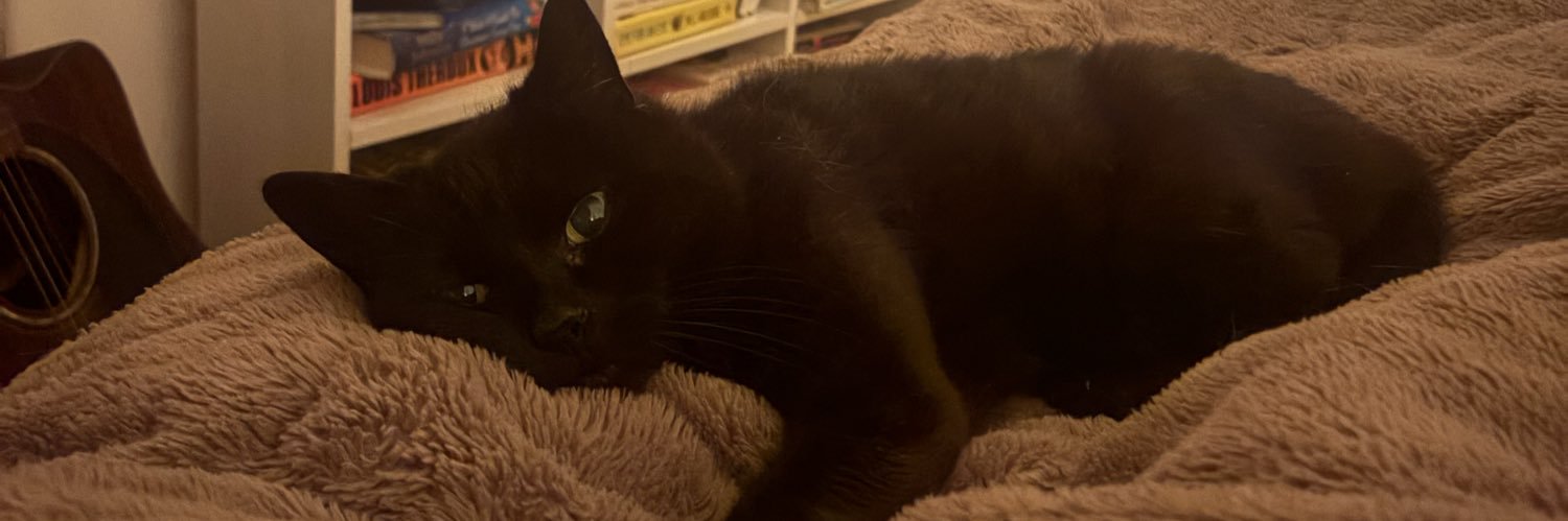 scusemelady's profile banner image