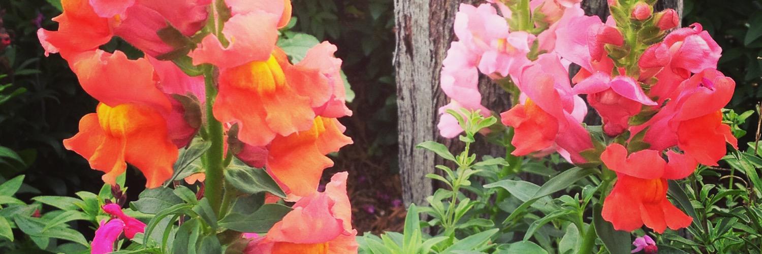 vinotourist's profile banner image