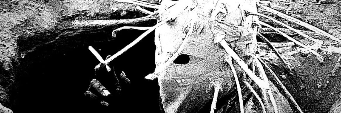 𝕮𝖆𝖘𝖙𝖗𖤐 banner