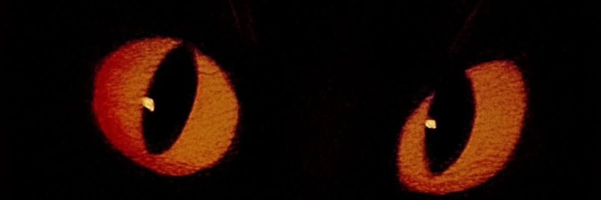 Tami | 94🧡🧶 banner