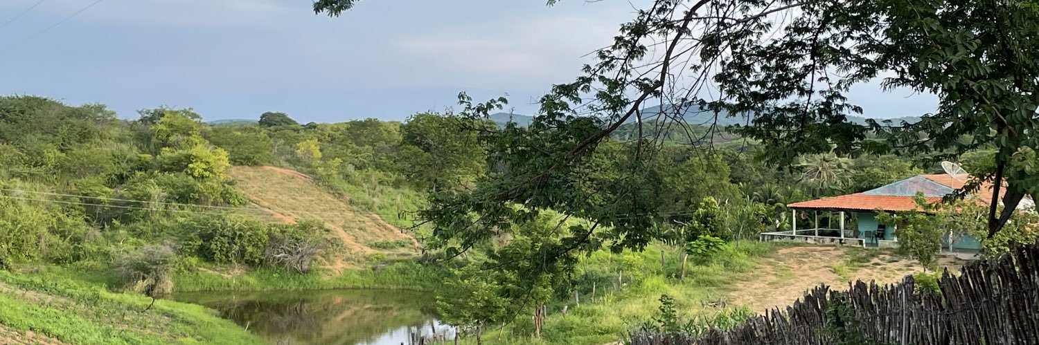 ayllamara's profile banner image