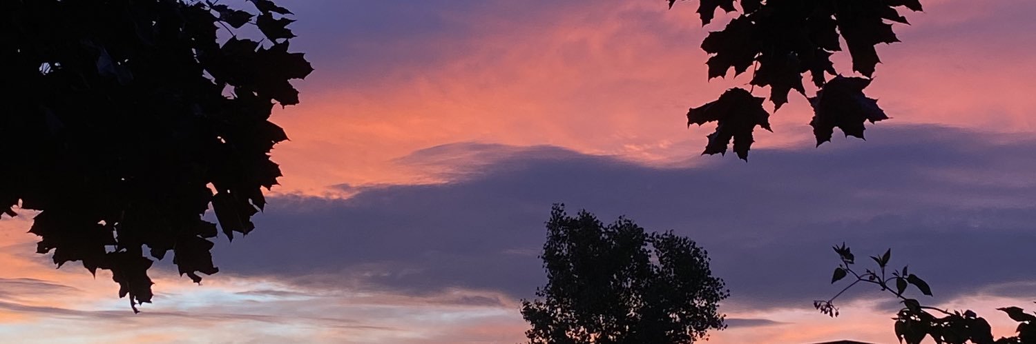 brandy_lawson_'s profile banner image