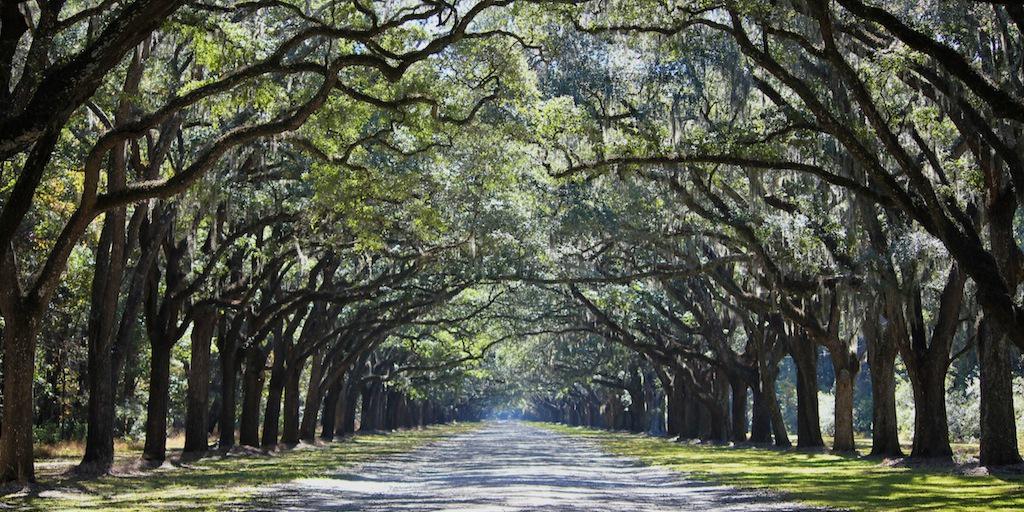 LisaMoore1962's profile banner image