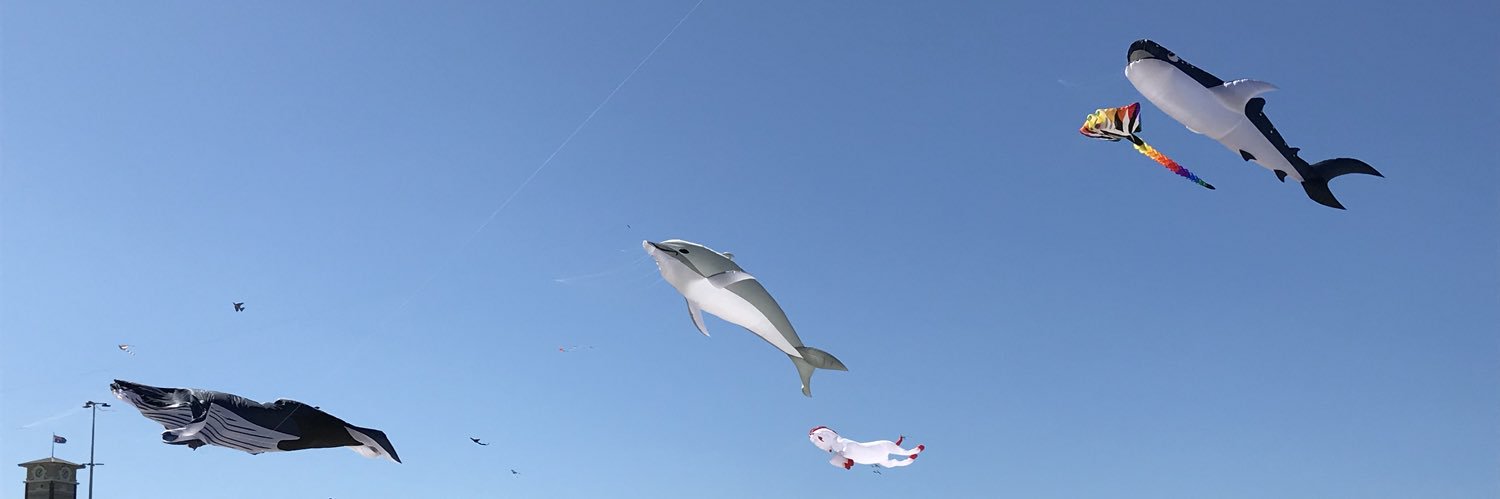 Maryam Naghsh Nejad banner