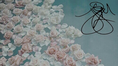 niftyziall's profile banner image