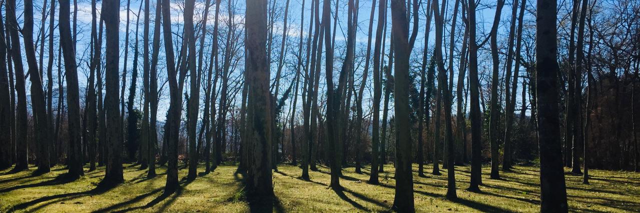 Vescomtat de Bas banner