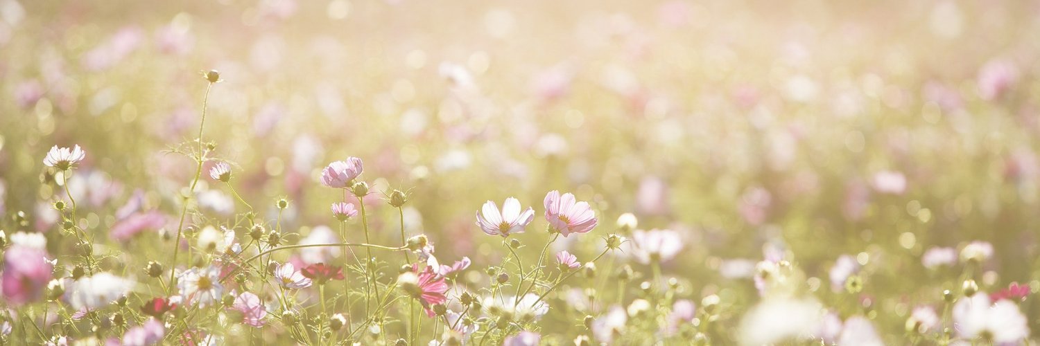 m. banner