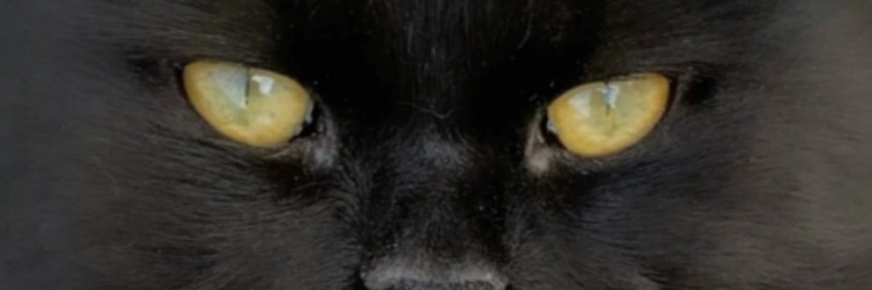 Plutoahlam's profile banner image