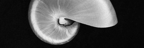 eldragonpapi Profile Banner