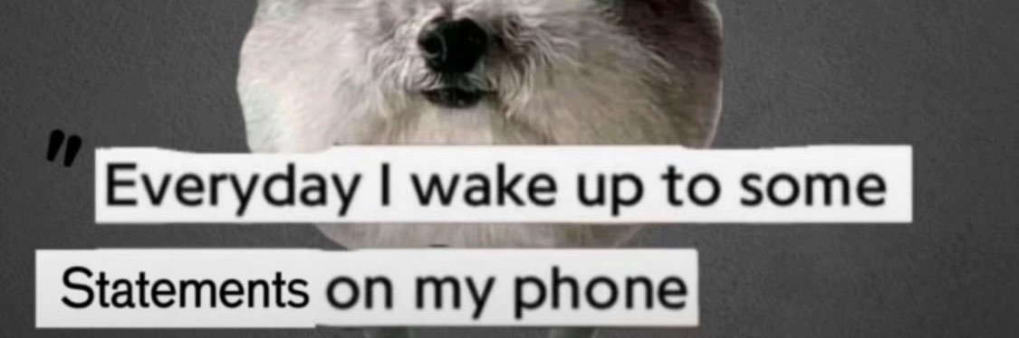 Statement Dog (@fadedthrealdude) / Posts / X