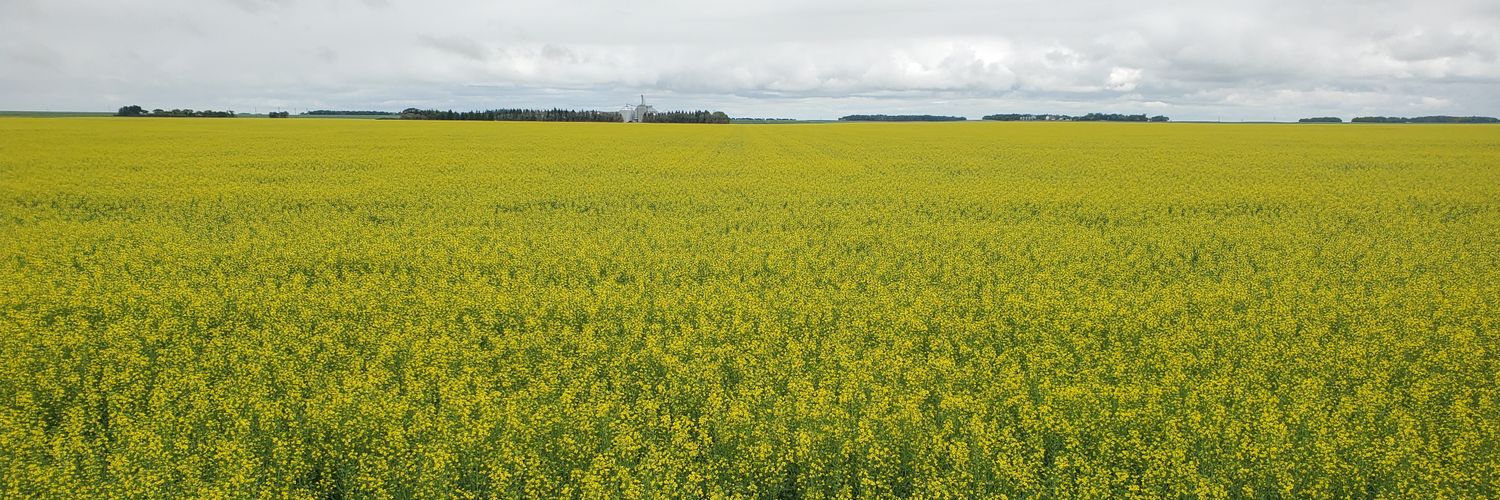 Aaron Hargreaves banner