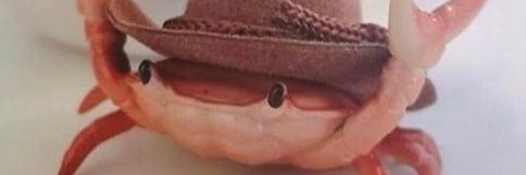 PperPlan3's profile banner image