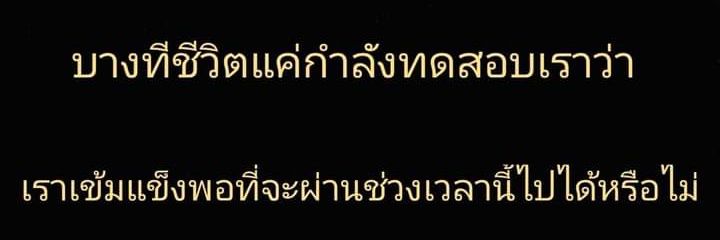 Pafan25 banner