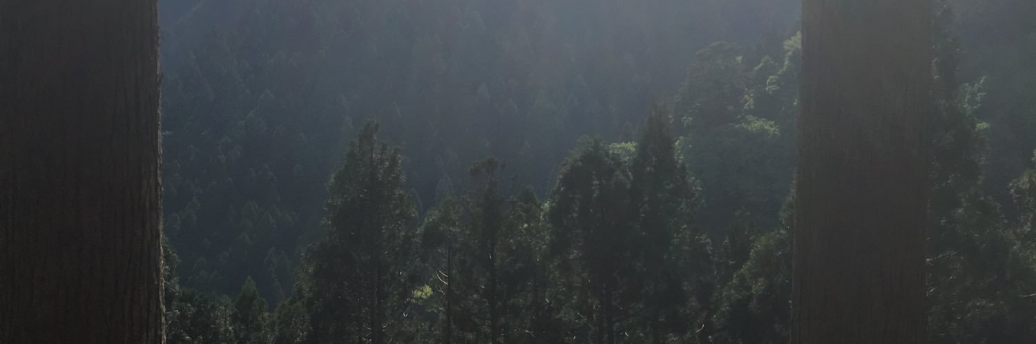 ebisutyo's profile banner image