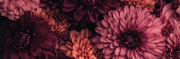 ChiaCors's profile banner image