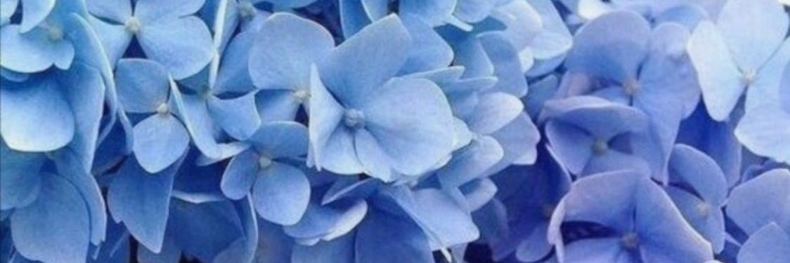 pentania🌦️ banner