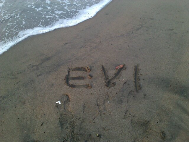 .E.M.S. banner