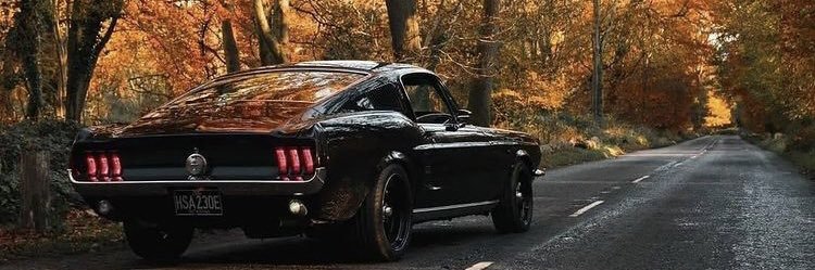 David101495's profile banner image