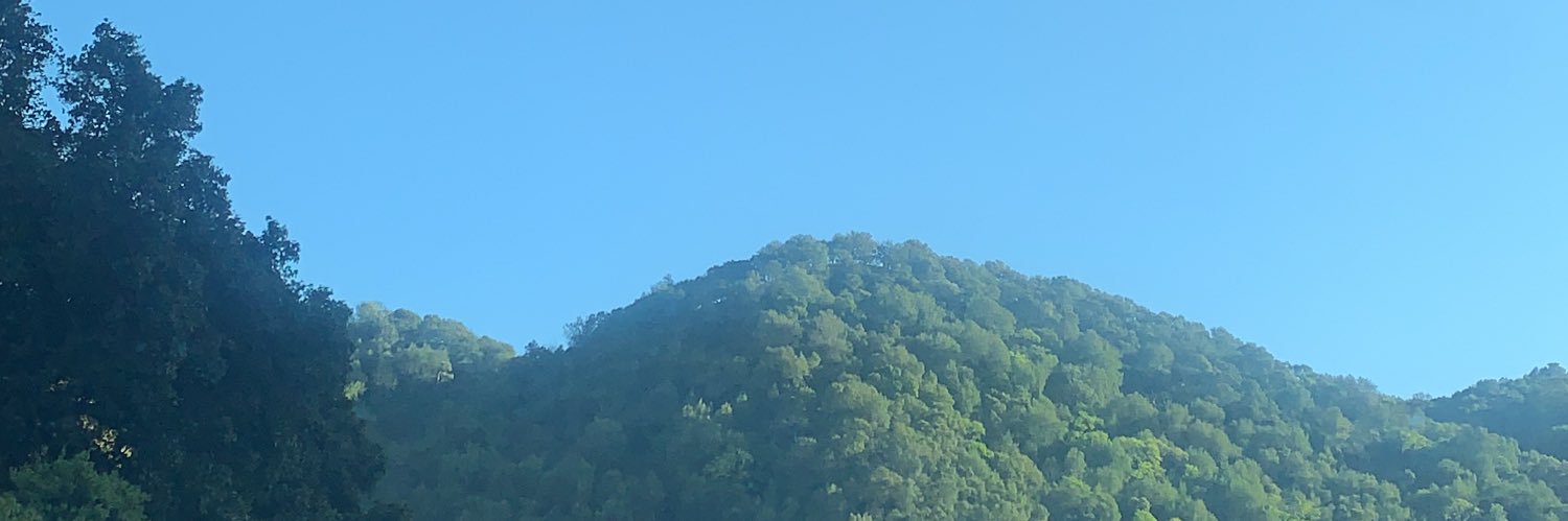 Savaugn's profile banner image