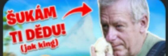 Barsik banner