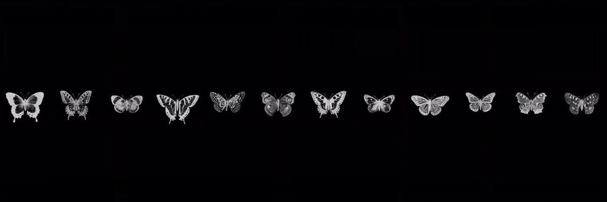 𓆩♡𓆪 banner