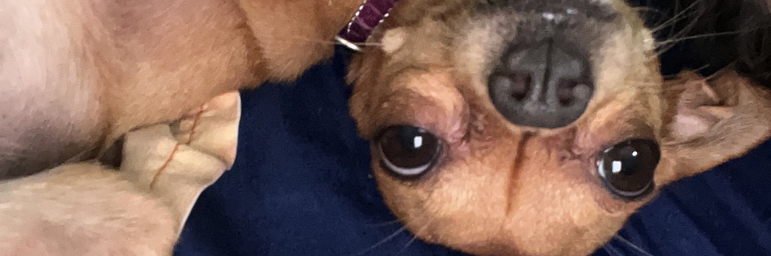 caromortera's profile banner image