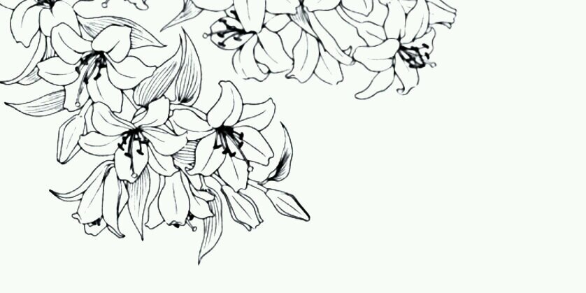 PT_JJIN's profile banner image