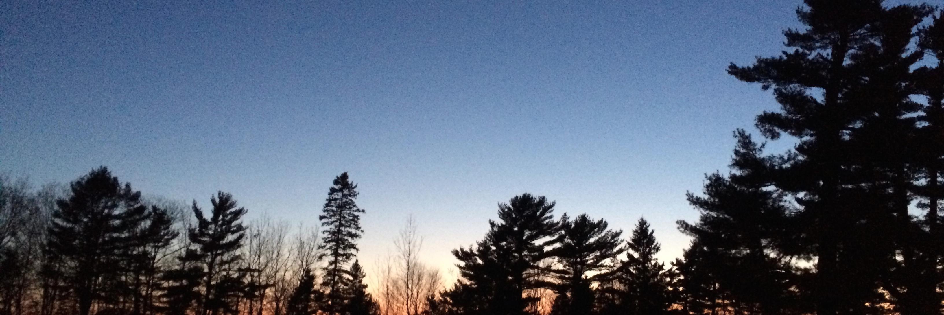 MacKinnonGolf's profile banner image