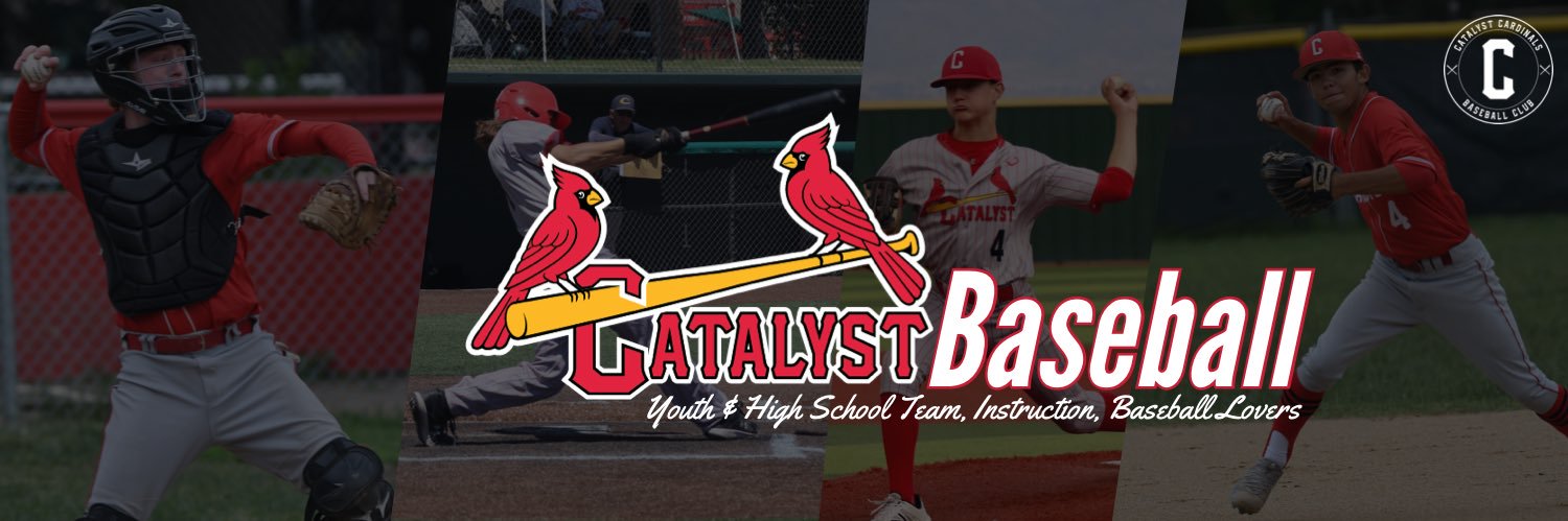 CATALYST BASEBALL banner