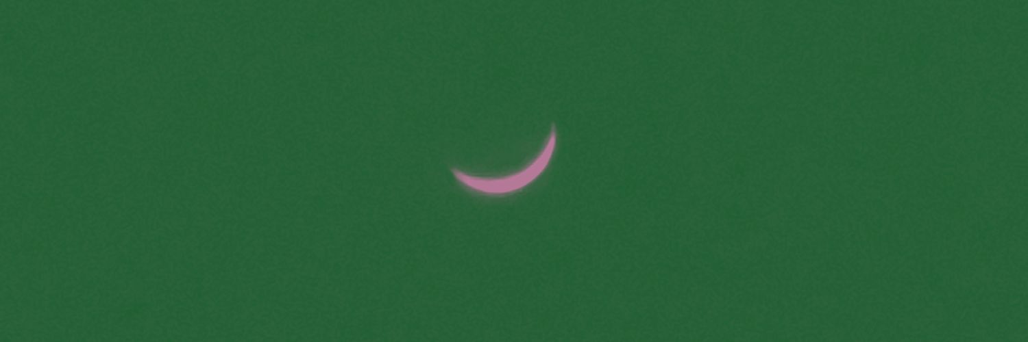 radiculos's profile banner image