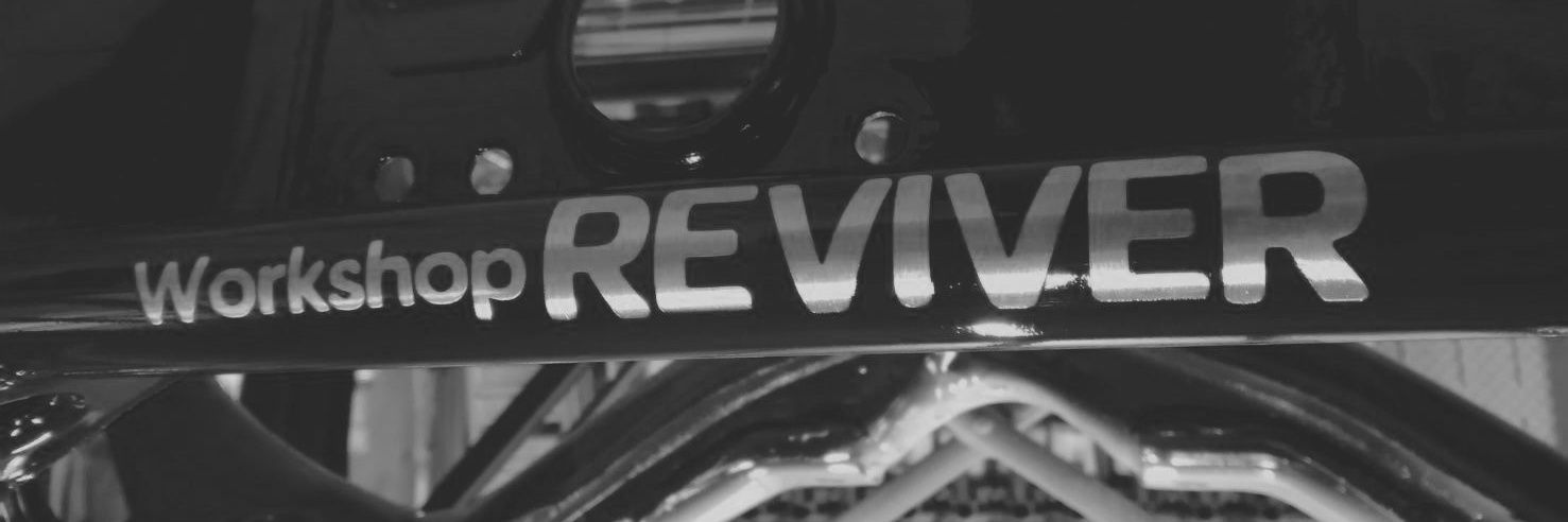 Workshop REVIVER banner