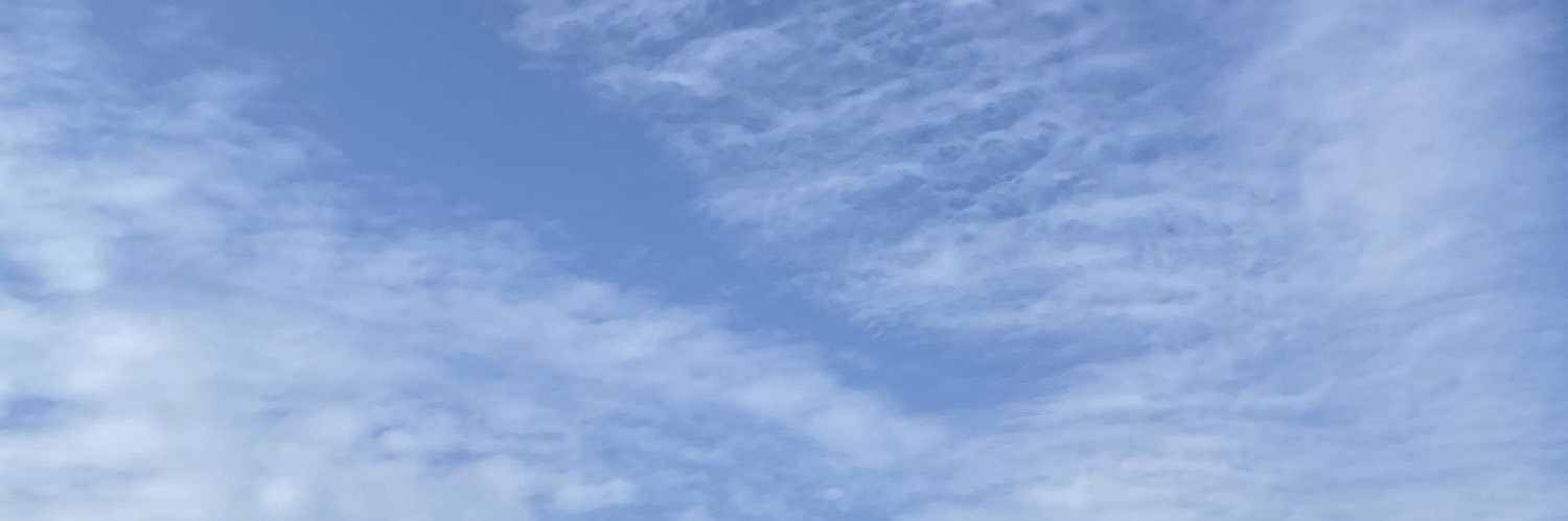 sinaya's profile banner image