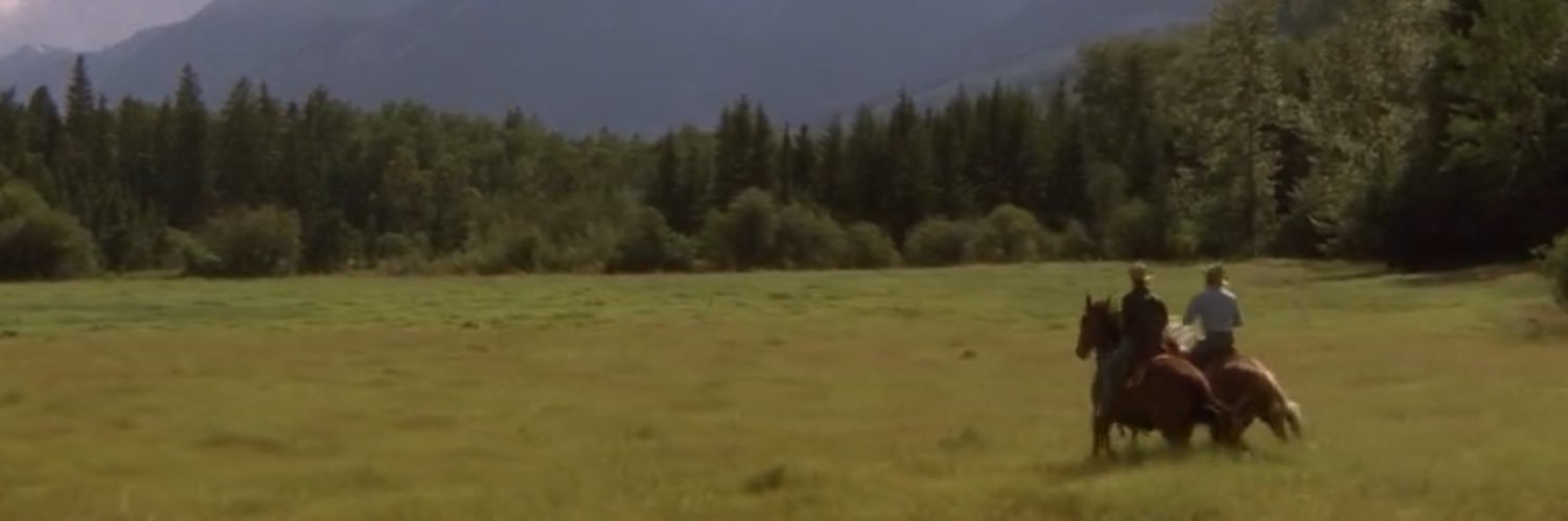 Jaamuru's profile banner image