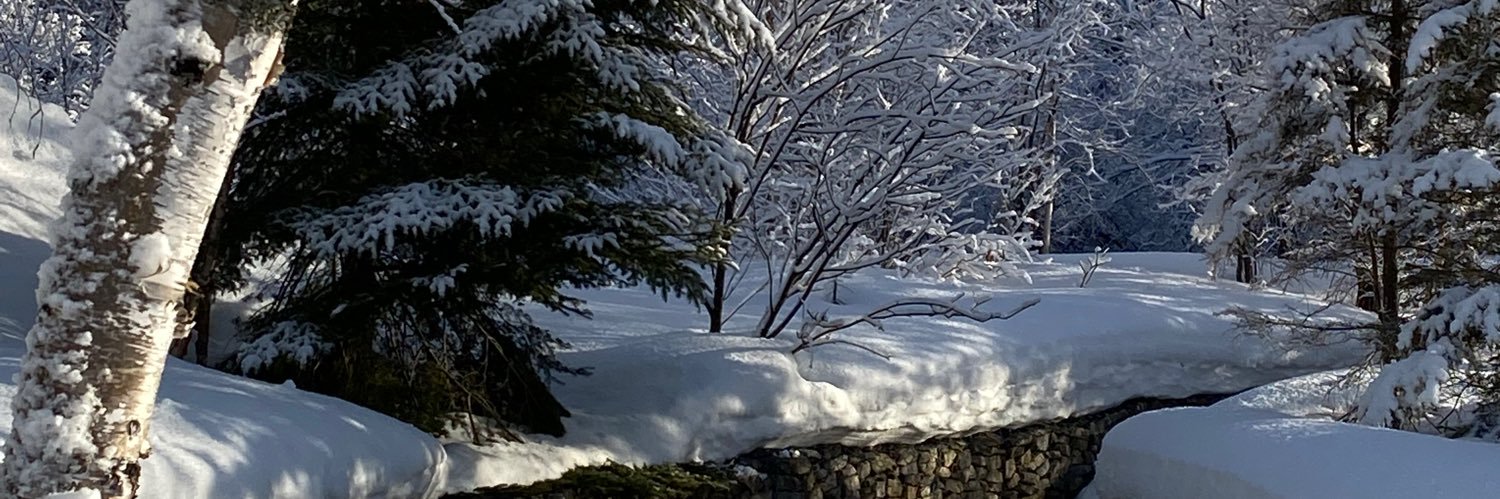 Yvan_1972's profile banner image