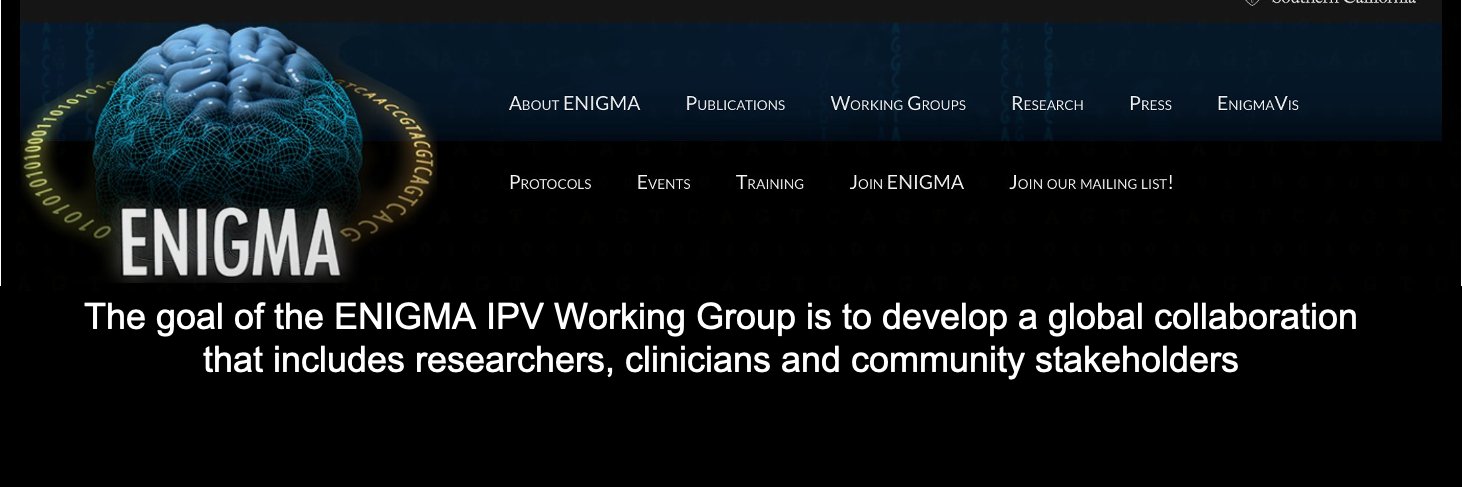 ENIGMA-Intimate Partner Violence (IPV)'s banner