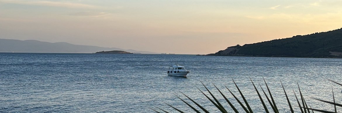 Enes banner