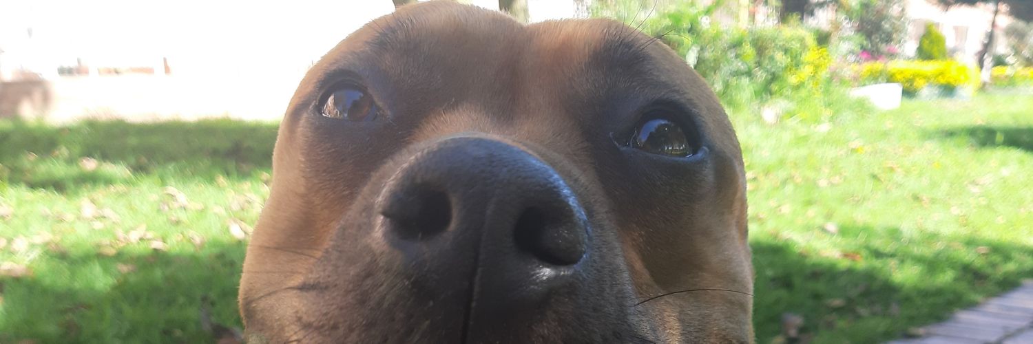jhoaann30's profile banner image