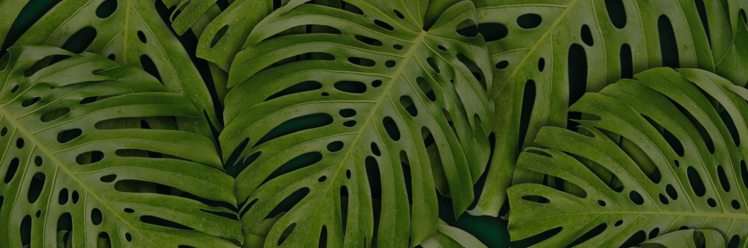 arantxacon_x's profile banner image