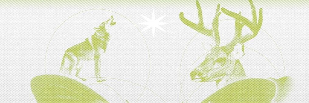 💜☁️¹² banner