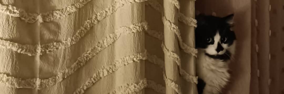 Pakočka banner