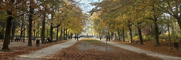 elviuhhh Profile Banner