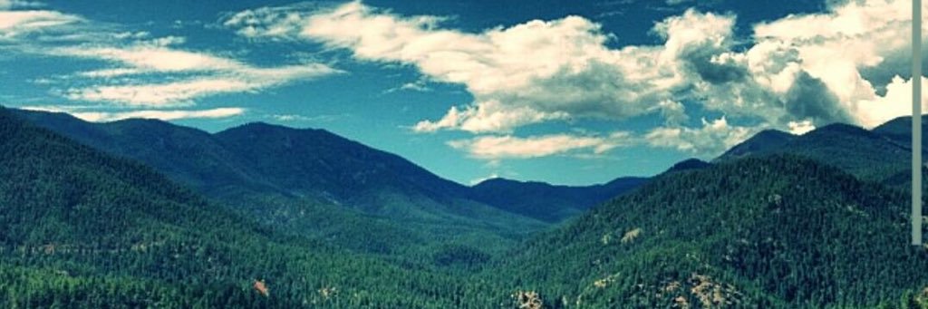 loannika's profile banner image