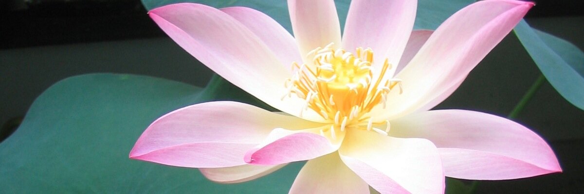mkisbs's profile banner image