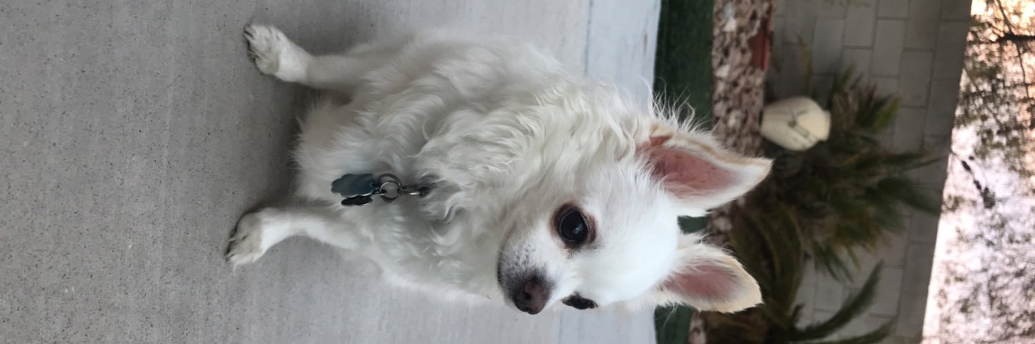 razzleberie's profile banner image