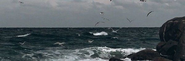 yonatsunoo Profile Banner