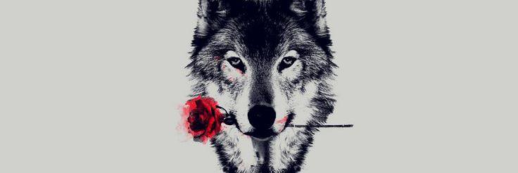 Oky_Hardika's profile banner image
