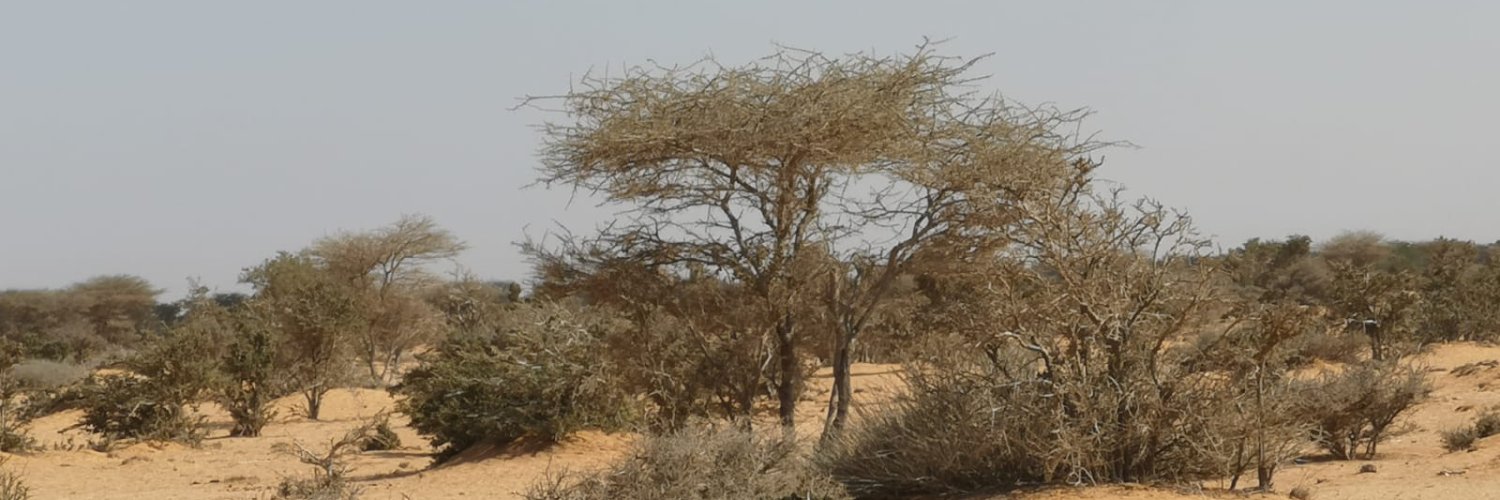 Ahmed-Noor A. Agip's banner