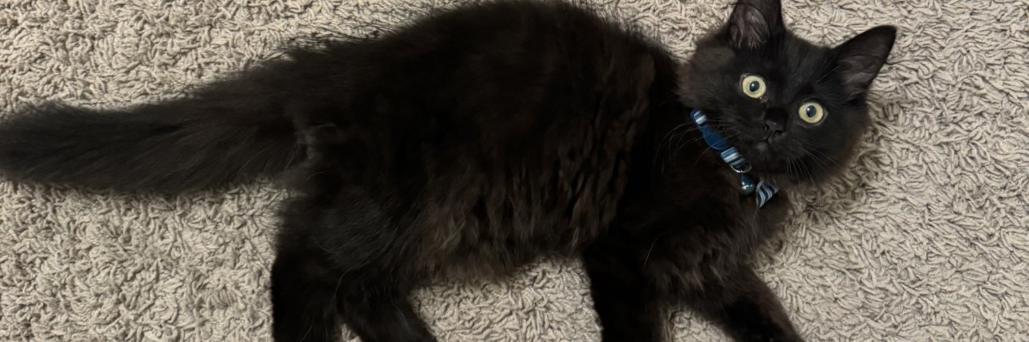 _kami_f_'s profile banner image