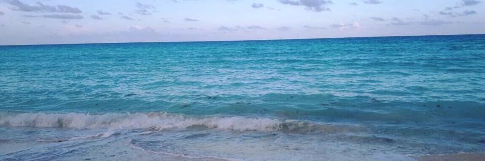 cuau69's profile banner image