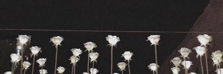 L banner
